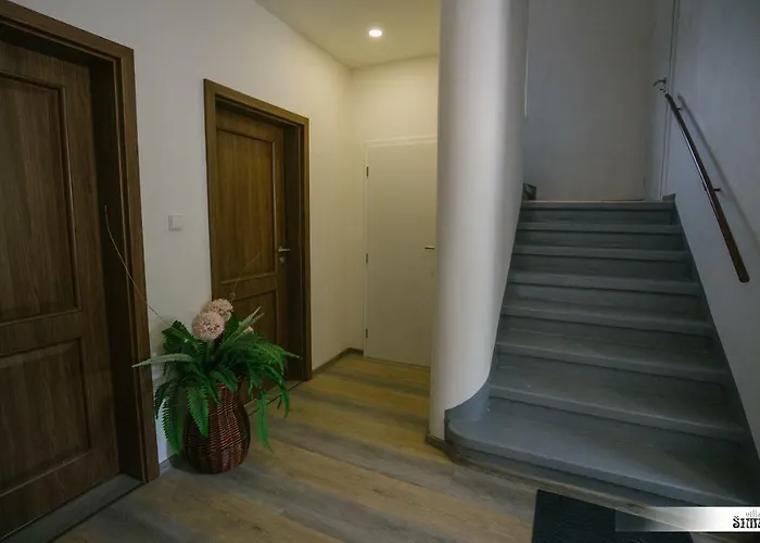 Guest house Simak Stare Splavy